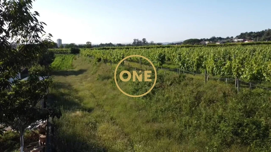 Terreno para Venda em Santo Tirso, Couto (Santa Cristina e São Miguel) e Burgães Foto 1