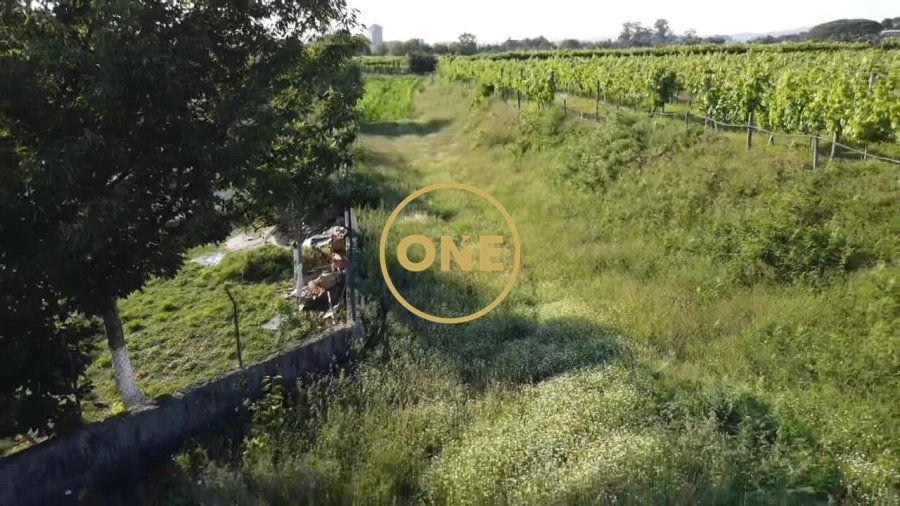 Terreno para Venda em Santo Tirso, Couto (Santa Cristina e São Miguel) e Burgães Foto 15