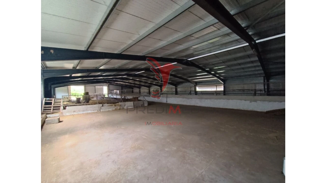 Quinta para Venda em Trancoso (São Pedro e Santa Maria) e Souto Maior Foto 5