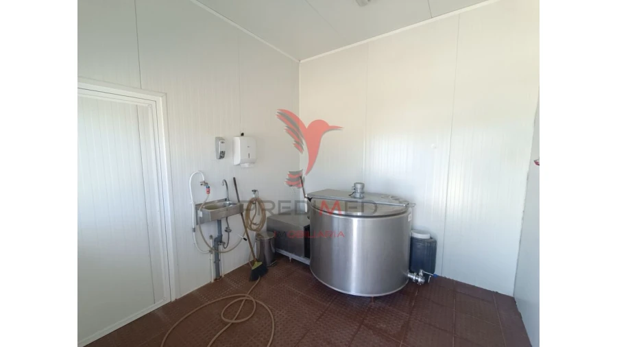 Quinta para Venda em Trancoso (São Pedro e Santa Maria) e Souto Maior Foto 19