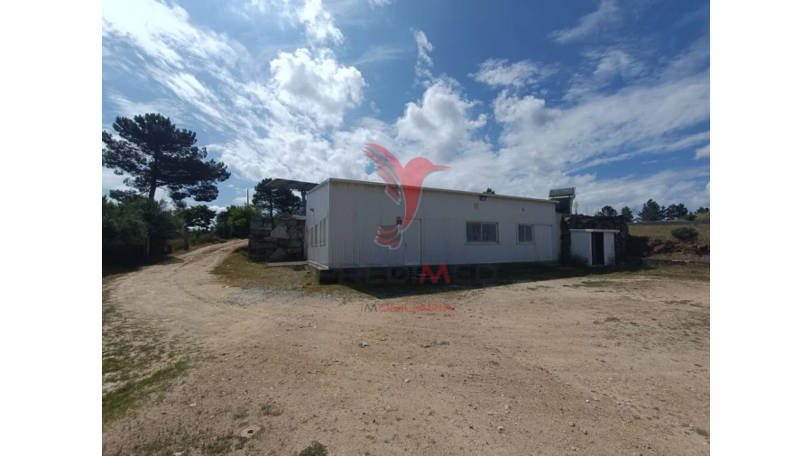 Quinta para Venda em Trancoso (São Pedro e Santa Maria) e Souto Maior Foto 9