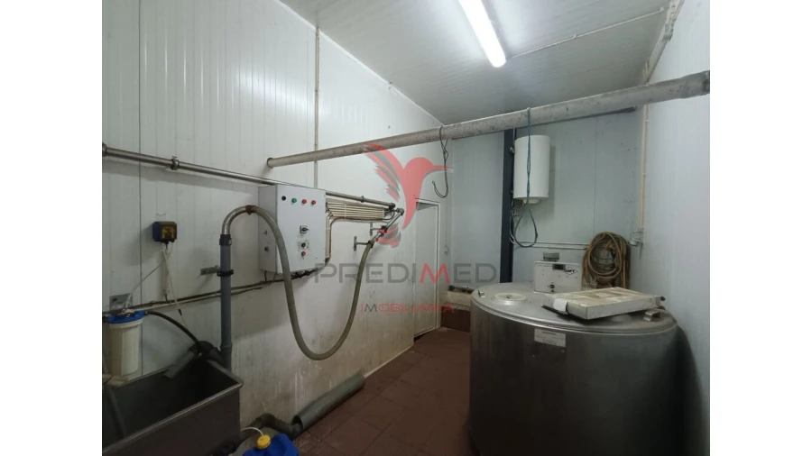 Quinta para Venda em Trancoso (São Pedro e Santa Maria) e Souto Maior Foto 8