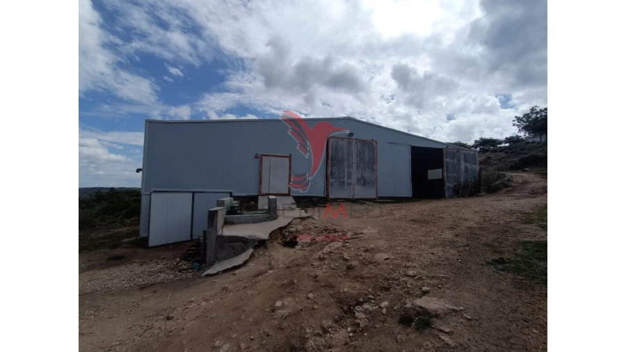 Quinta para Venda em Trancoso (São Pedro e Santa Maria) e Souto Maior Foto 6