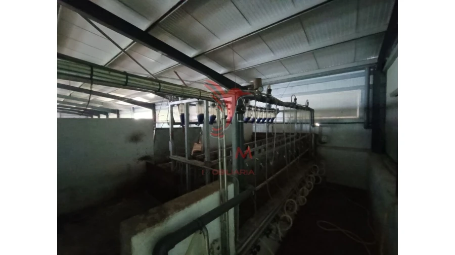 Quinta para Venda em Trancoso (São Pedro e Santa Maria) e Souto Maior Foto 7