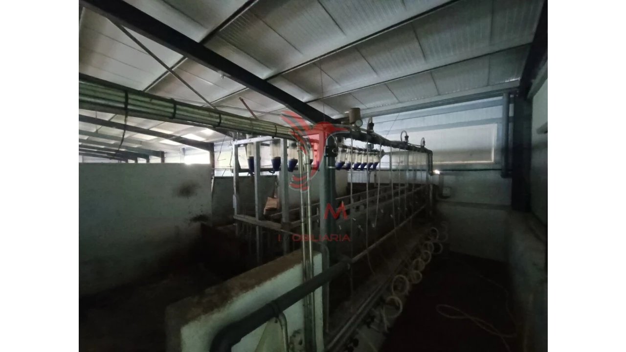 Quinta para Venda em Trancoso (São Pedro e Santa Maria) e Souto Maior Foto 7