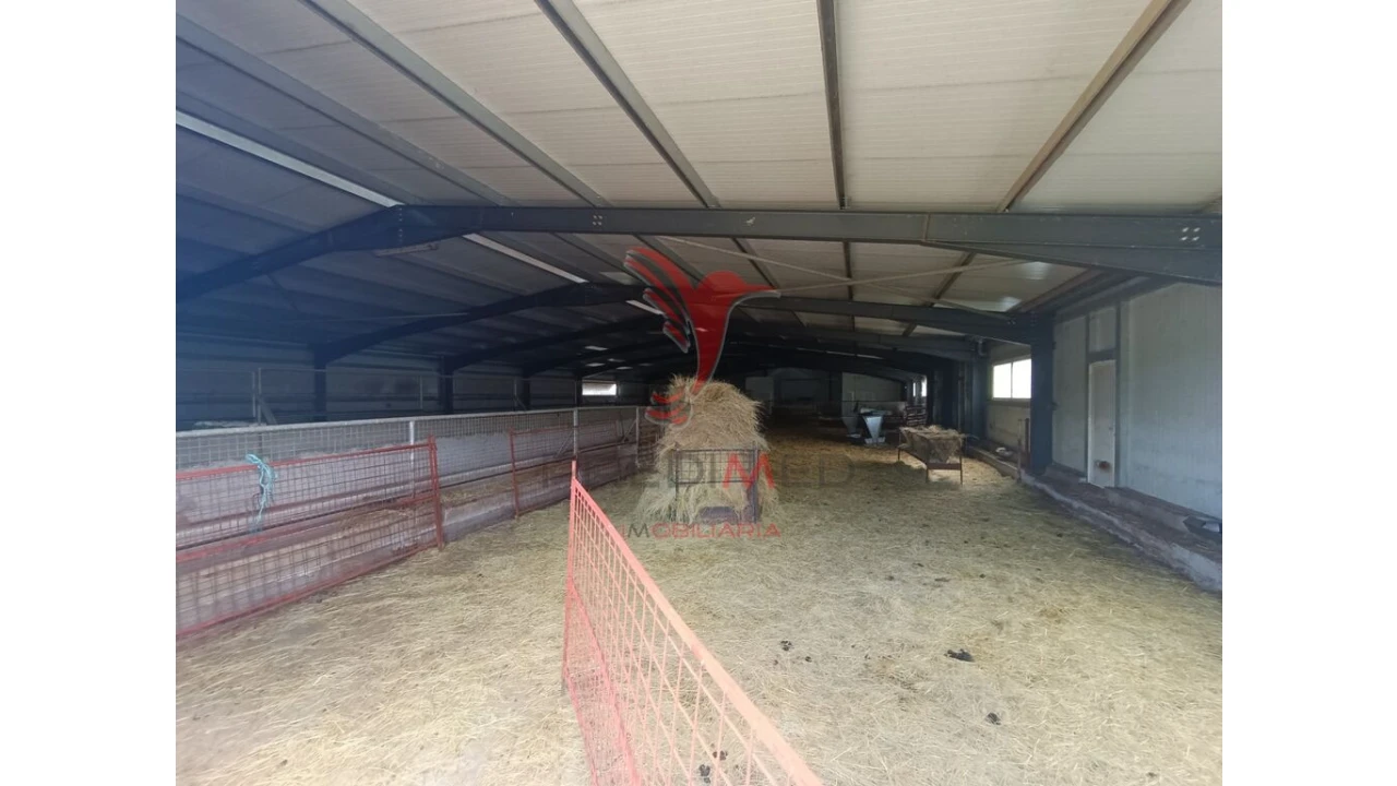 Quinta para Venda em Trancoso (São Pedro e Santa Maria) e Souto Maior Foto 3