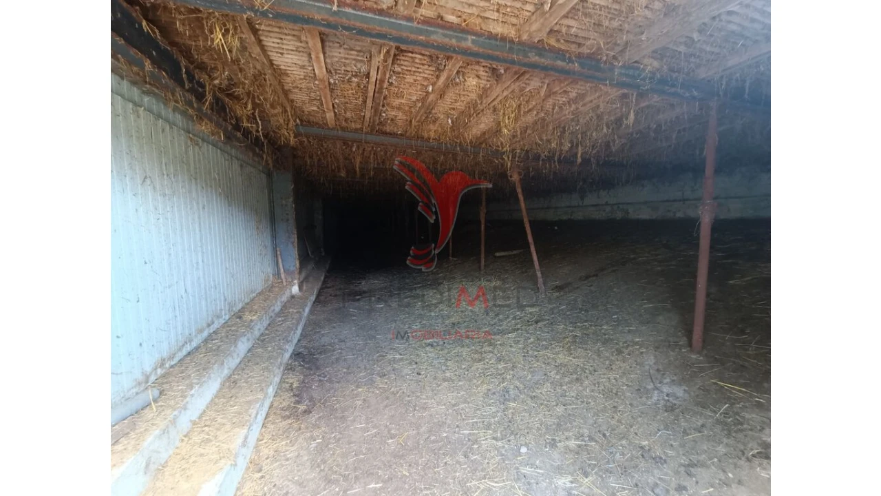 Quinta para Venda em Trancoso (São Pedro e Santa Maria) e Souto Maior Foto 4