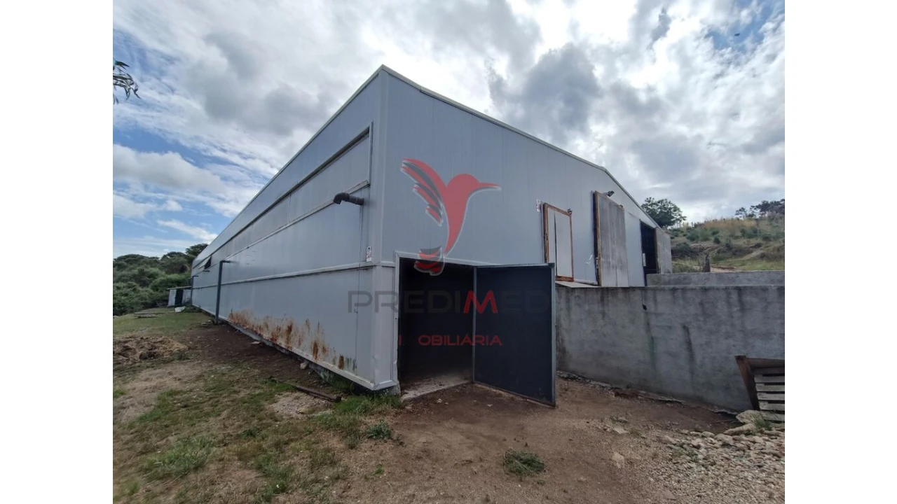 Quinta para Venda em Trancoso (São Pedro e Santa Maria) e Souto Maior Foto 1