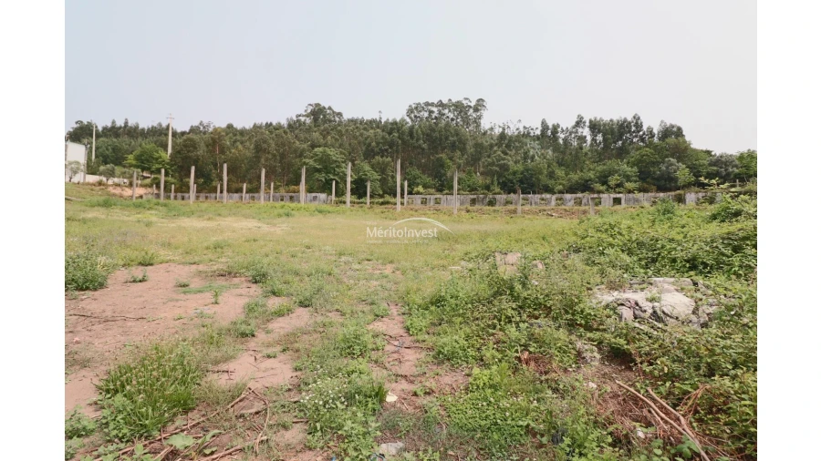 Terreno para Venda em Sande São Lourenço e Balazar Foto 12