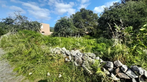 Terreno para Venda em Afife