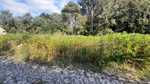 Terreno para Venda em Afife