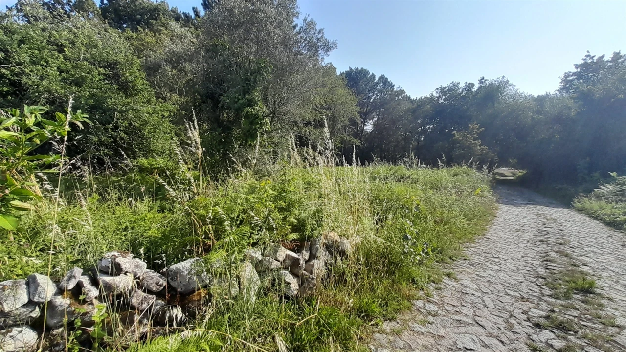 Terreno para Venda em Afife Foto 1