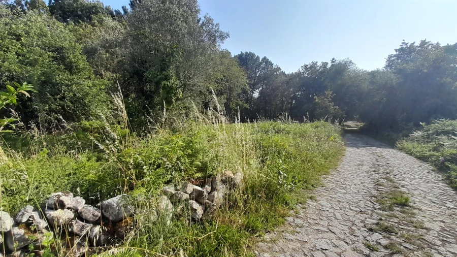 Terreno para Venda em Afife Foto 2