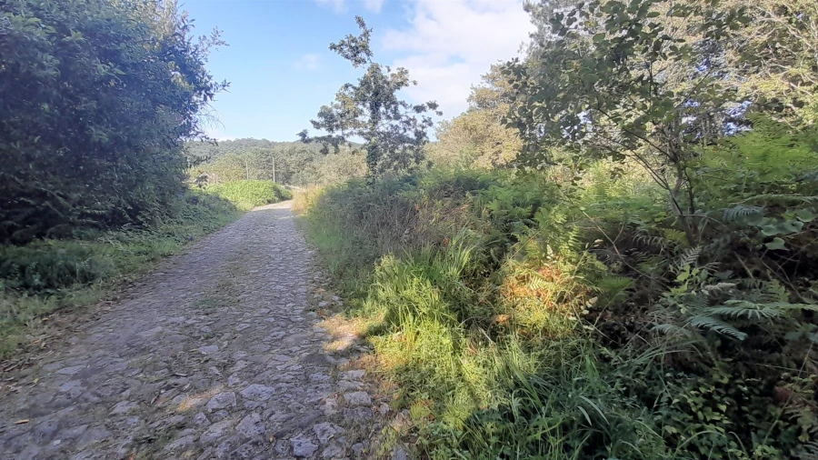 Terreno para Venda em Afife Foto 3