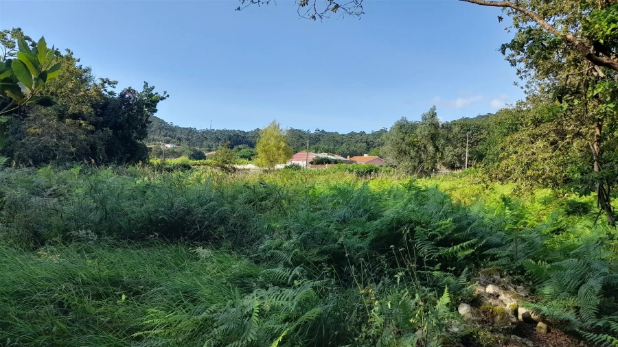 Terreno para Venda em Afife Foto 9