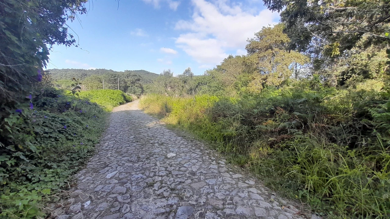 Terreno para Venda em Afife Foto 4