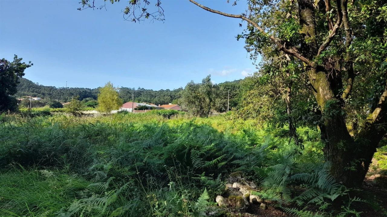 Terreno para Venda em Afife Foto 10