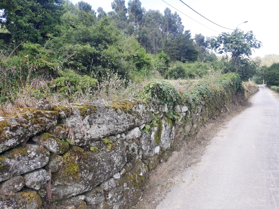 Terreno Agricola ou Rústico para Venda em Sobradelo da Goma Foto 4