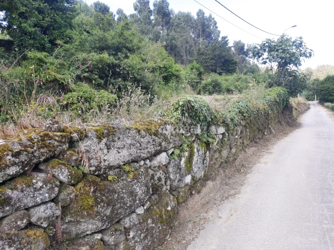 Terreno Agricola ou Rústico para Venda em Sobradelo da Goma Foto 4