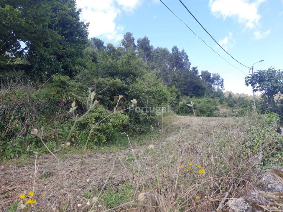 Terreno Agricola ou Rústico para Venda em Sobradelo da Goma Foto 2