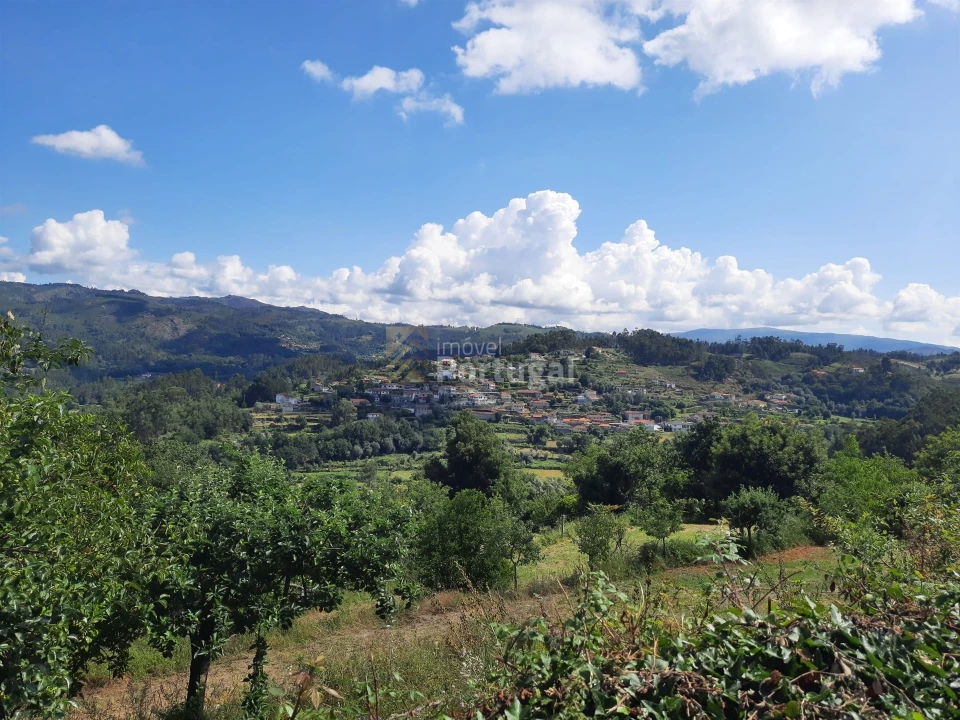 Terreno Agricola ou Rústico para Venda em Sobradelo da Goma Foto 1