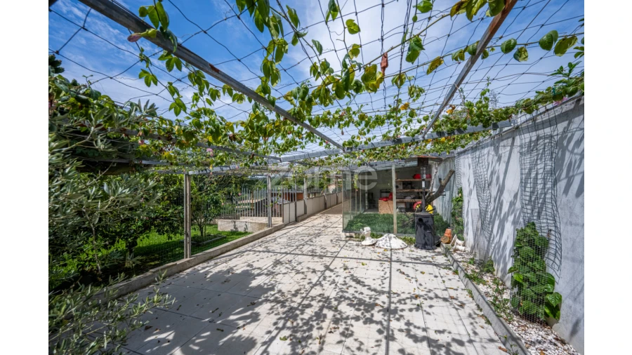 Moradia T4 para Venda em São Miguel do Souto e Mosteirô Foto 64