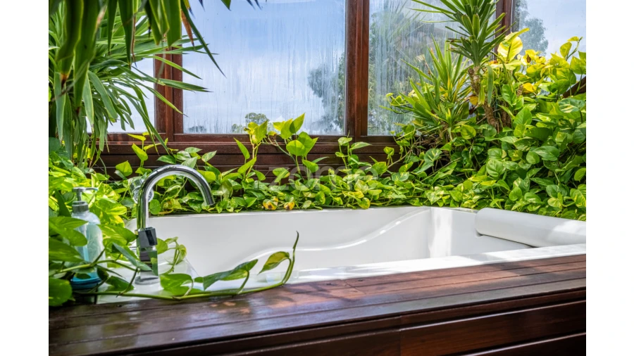 Moradia T4 para Venda em São Miguel do Souto e Mosteirô Foto 28