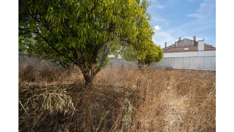 Loja para Venda em Cartaxo e Vale da Pinta Foto 12