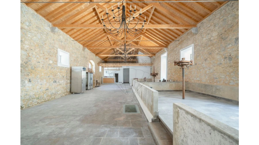 Loja para Venda em Cartaxo e Vale da Pinta Foto 4