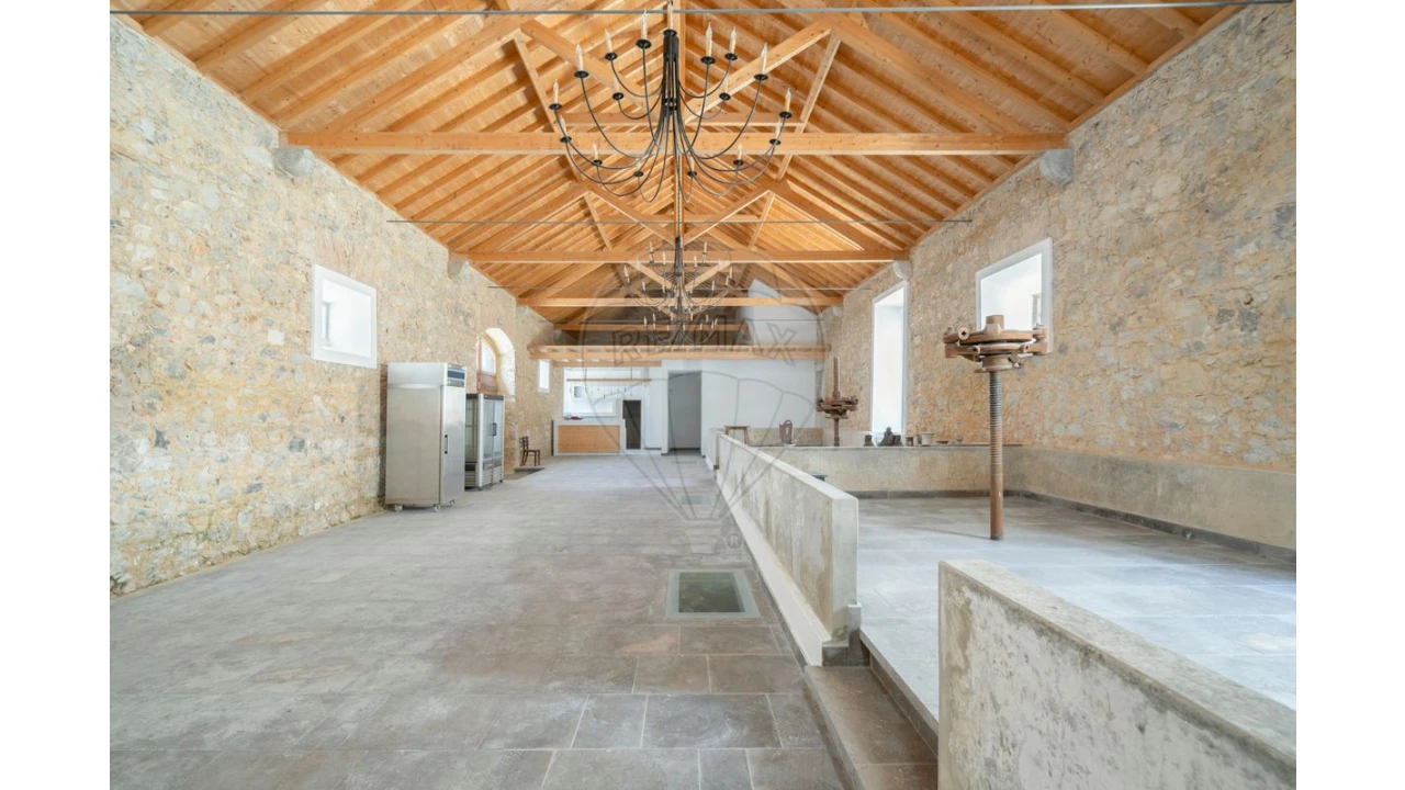 Loja para Venda em Cartaxo e Vale da Pinta Foto 4