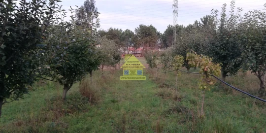 Moradia T3 para Venda em Pedroso e Seixezelo