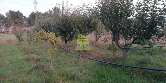 Moradia T3 para Venda em Pedroso e Seixezelo
