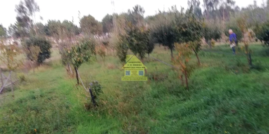 Moradia T3 para Venda em Pedroso e Seixezelo