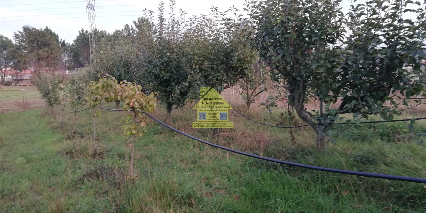 Moradia T3 para Venda em Pedroso e Seixezelo Foto 48