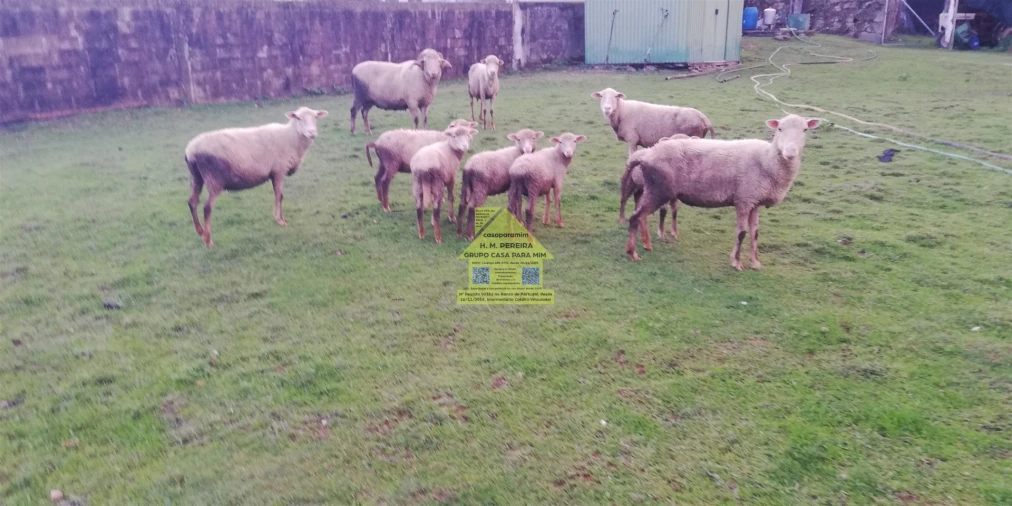 Moradia T3 para Venda em Pedroso e Seixezelo Foto 23
