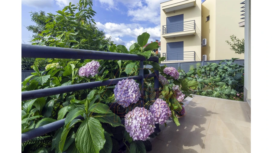 Moradia T5 para Venda em São Martinho do Bispo e Ribeira de Frades Foto 35