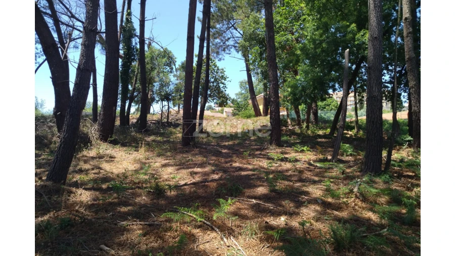 Terreno para Venda em Vilar de Andorinho Foto 19