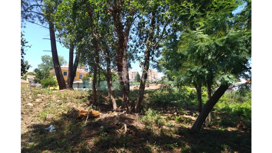 Terreno para Venda em Vilar de Andorinho Foto 14