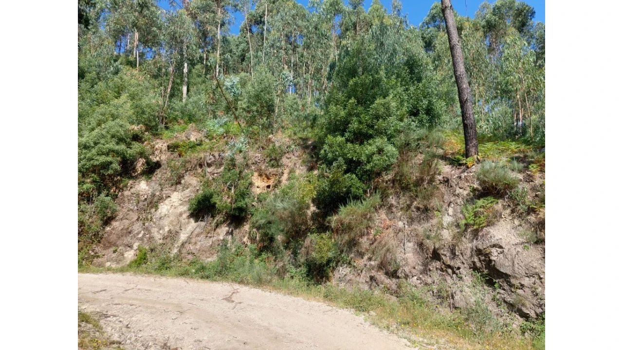 Terreno para Venda em Rio Caldo Foto 9