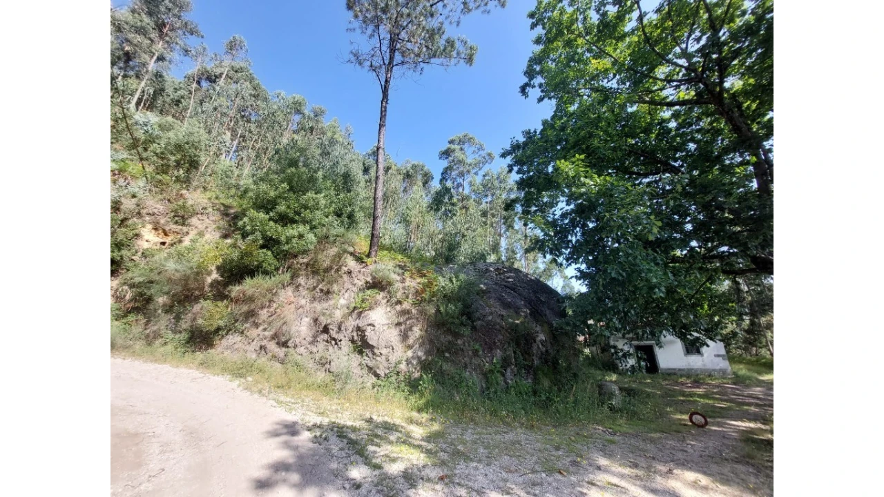 Terreno para Venda em Rio Caldo Foto 7