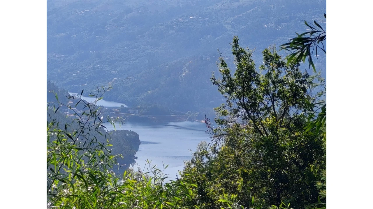 Terreno para Venda em Rio Caldo Foto 10