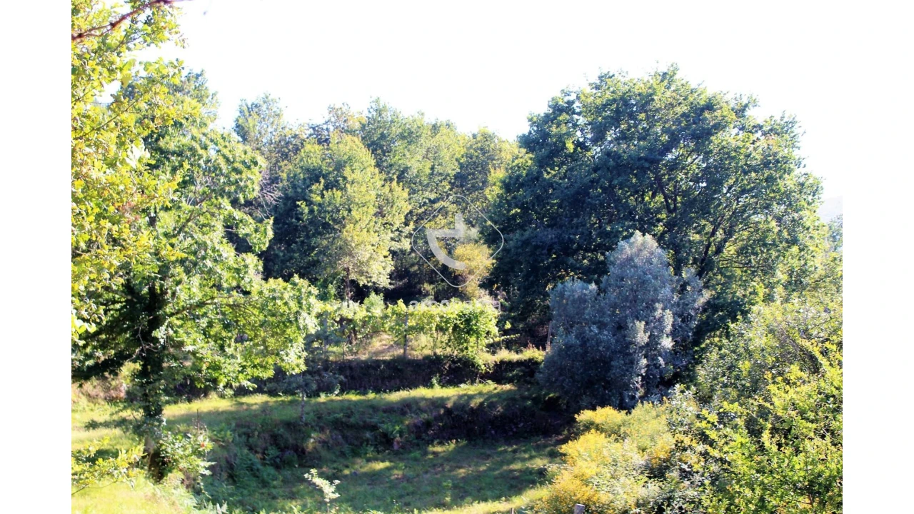 Terreno para Venda em Vila Chã (São João Baptista e Santiago) Foto 15
