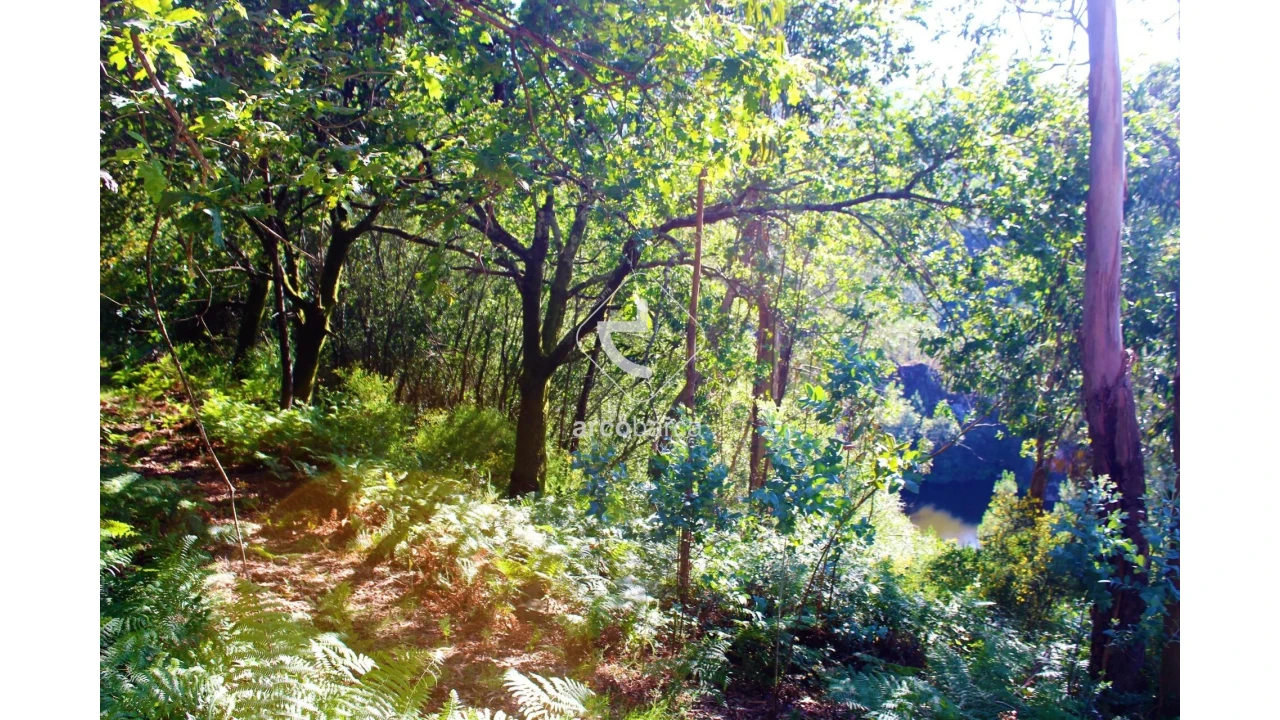 Terreno para Venda em Vila Chã (São João Baptista e Santiago) Foto 17