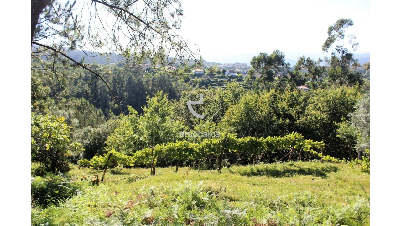 Terreno para Venda em Vila Chã (São João Baptista e Santiago) Foto 5