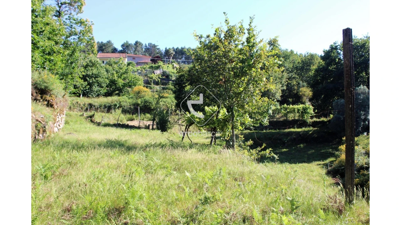 Terreno para Venda em Vila Chã (São João Baptista e Santiago) Foto 7