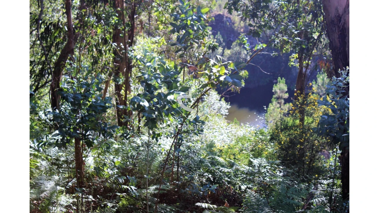 Terreno para Venda em Vila Chã (São João Baptista e Santiago) Foto 16