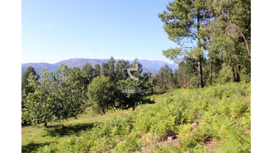 Terreno para Venda em Vila Chã (São João Baptista e Santiago) Foto 10