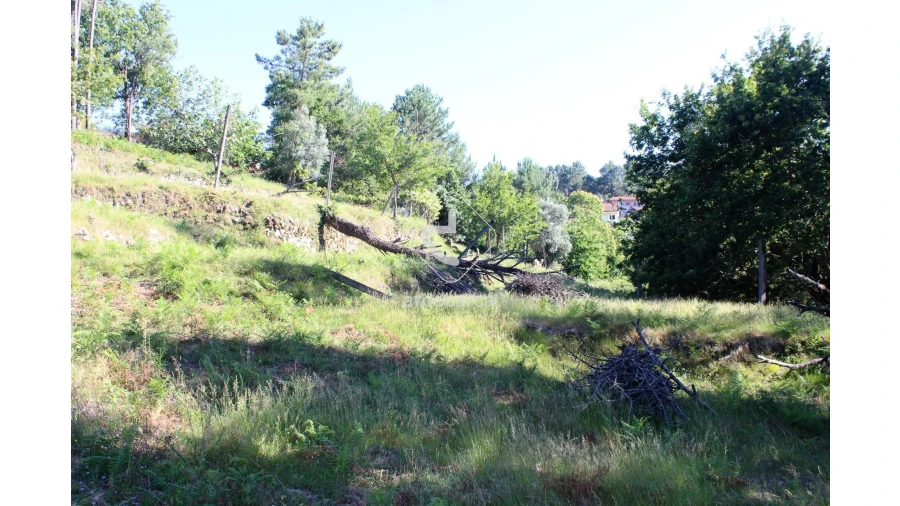 Terreno para Venda em Vila Chã (São João Baptista e Santiago) Foto 13