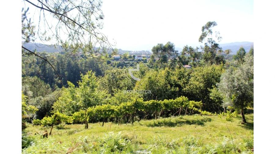 Terreno para Venda em Vila Chã (São João Baptista e Santiago) Foto 8