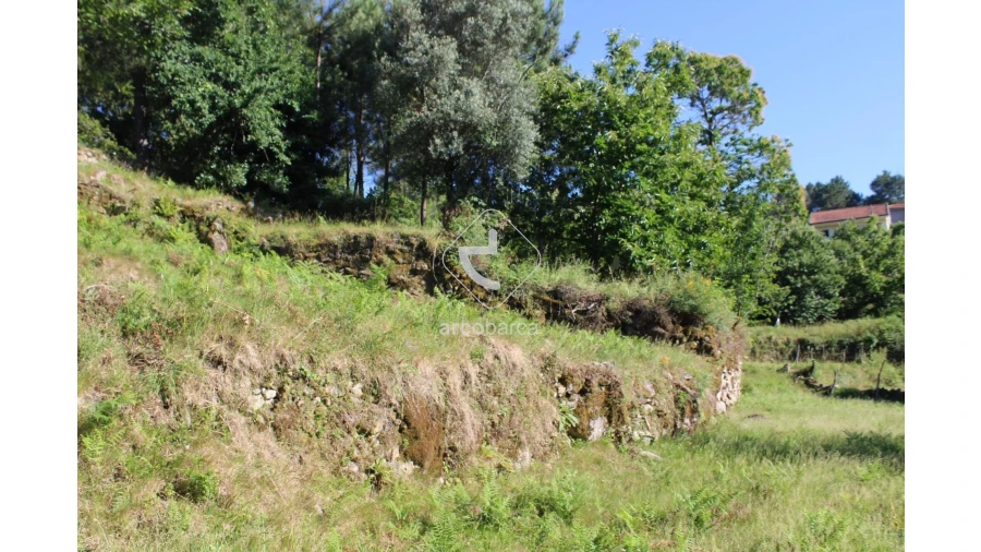 Terreno para Venda em Vila Chã (São João Baptista e Santiago) Foto 14